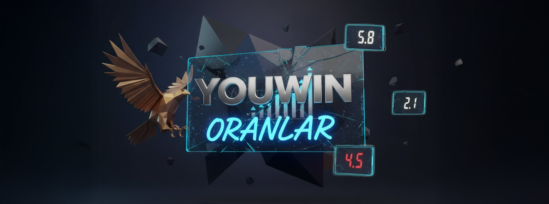 Youwin Oranlar